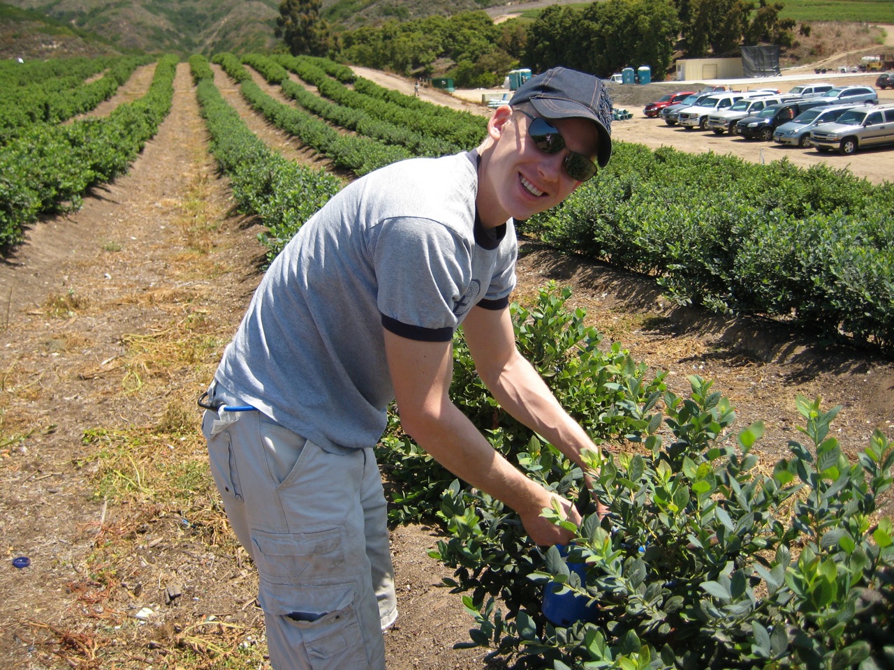 Matt Picking Blueberries