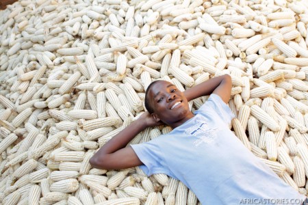 Bright on Maize Pile