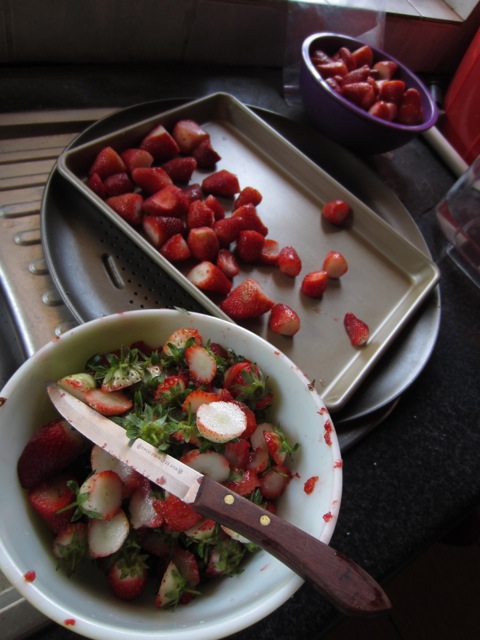 strawberries 3
