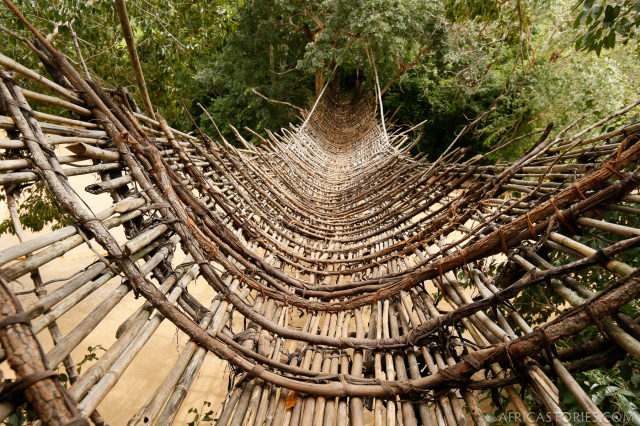 The bridge is constructed from bamboo running the length, to provide strength, and roots running the width, to provide flexibility.